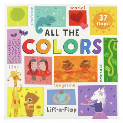 All the Other Colors (Large Lift-A-Flap Board Book) - Board book - GOOD