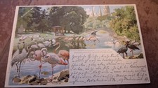 AK - Offizielle Postkarte  Zoologischer Garte...