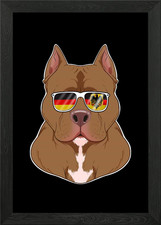 Pitbull Germany Sonnenbrille gerahmt Wandbild Poster Leinwanddruck Bild