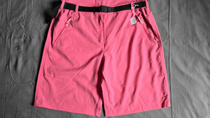 Short homme randonnée Regatta Xert Stretch Shorts III