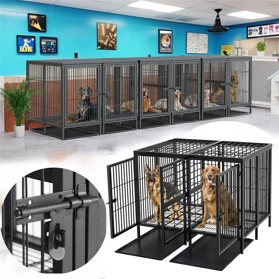 Divided dog kennel cheap