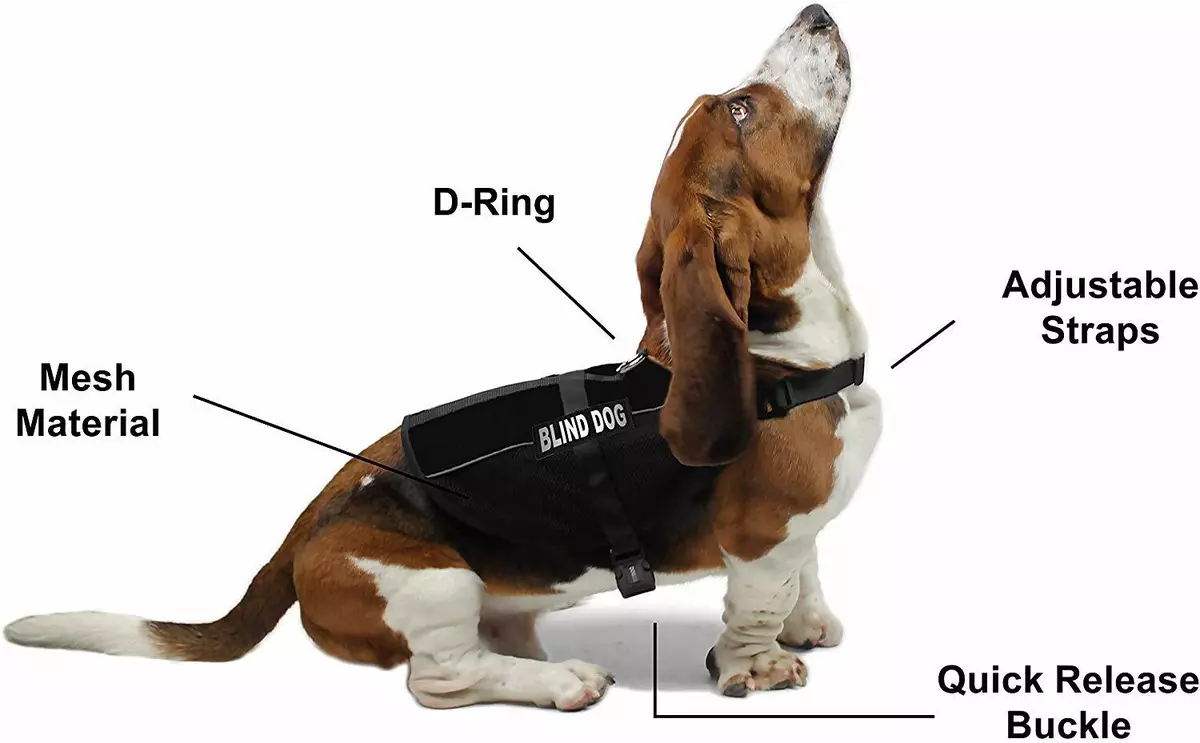BLIND DEAF DOG Service Mesh Vest with Removable Reflective Patch