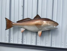 40" Redfish Two Sided Fish Mount Replica - Quick Production