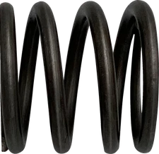 DRAG SPECIALTIES Fork Fits Spring - Rebound - 49 Mm C23-0245