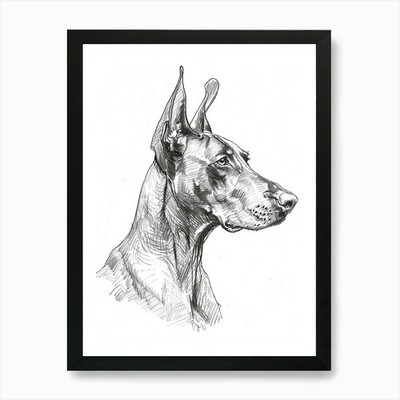 Doberman Dog Line Sketch Art Print Framed Wall Art Poster Canvas Print Picture