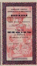 Agricole De Badikaha 1927 C&ocirc;te d'Ivoire Elfenbeink&uuml;ste 2500 Francs Gr&uuml;nderaktie
