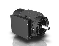 Techtop Cobra Electric Motor 10 Hp 1800 Rpm 1-ph 230 Volt 215tc Frame