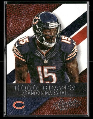 2014 Panini Absolute #53 Brandon Marshall Hogg Heaven