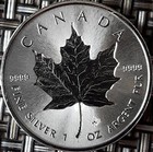 1 Unze oz Silber Silbermünze Münze Maple Leaf verschiedene Jahrgänge