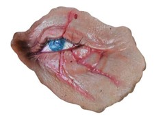 Halloween 2018 Michael Myers Dead Eye Prosthetic Appliance Mask Accessory TOT