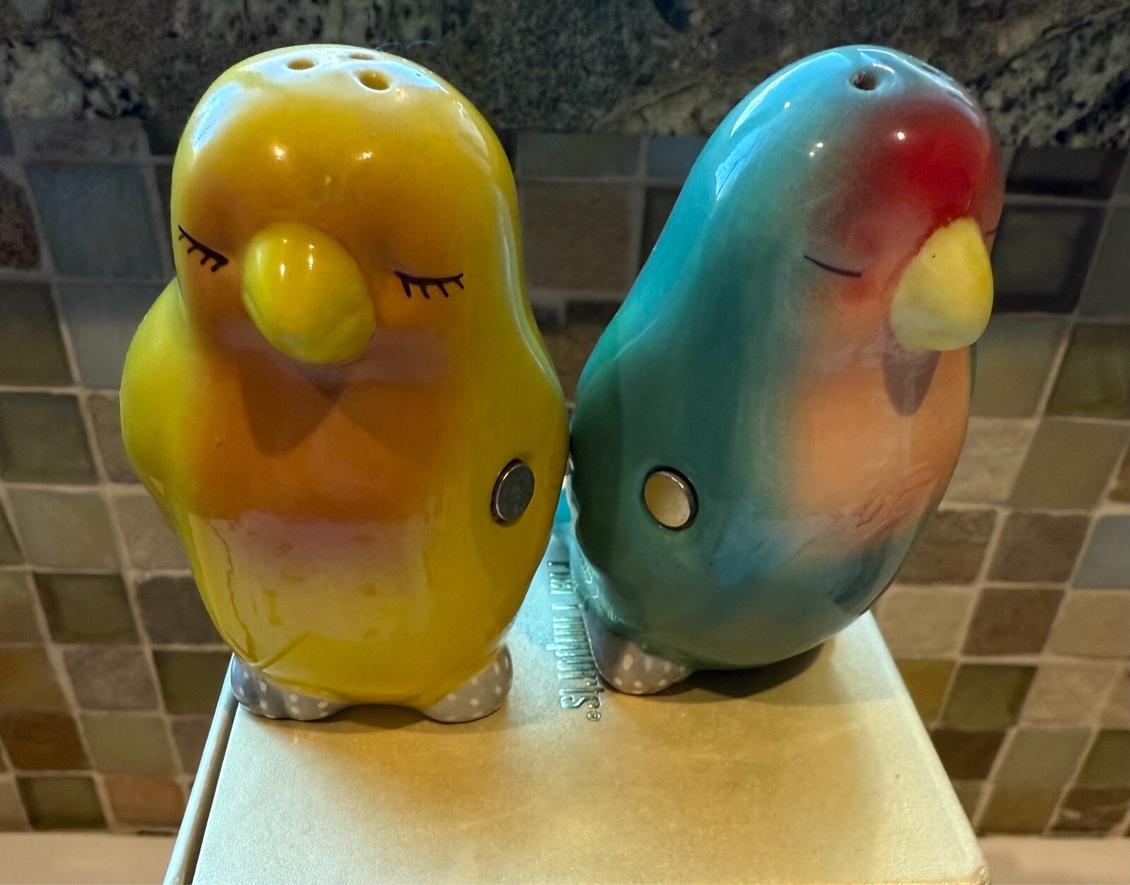Vintage Love Birds Colorful Magnetic Salt & Pepper Shakers