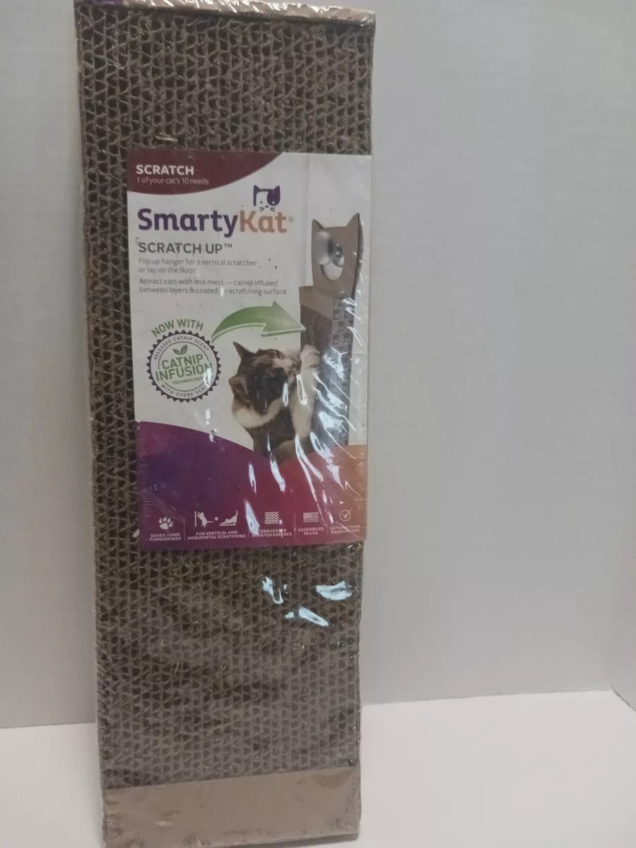 Smartykat scratch up 2025