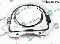 1X Dr.Motor Automotive DRM0517 Wellendichtring Kurbelwelle FüR Jaguar LTI