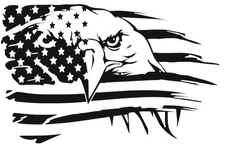 Vinyl Decal for Window - American Flag with Eagle (Various Colors/ Sizes)
