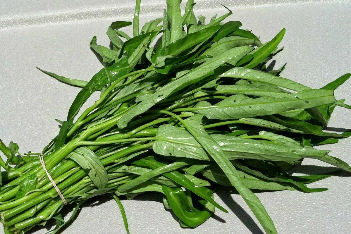 SEMI -100pcs / Sacchetto Di Acqua Spinaci Kangkong Vegetable Seeds, Cimelio Organico Palude - Foto 4