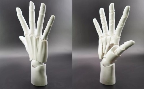 Modelo de mano 1/1 con múltiples juntas para pintar adornos modelo - Imagen 4 de 9