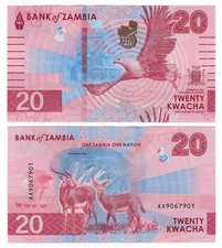 Zambia 20 Kwacha (2024) - Fish Eagle/Water Falls/p63, B172 UNC