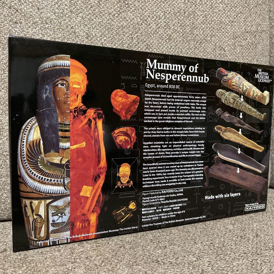 人体模型 British Museum Mummy: the inside story British Museum MUMMY the inside story perfect detailed