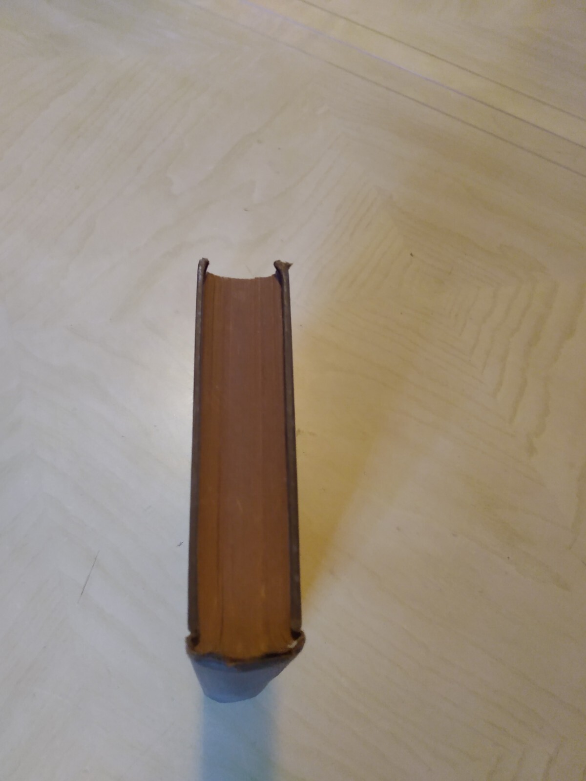 Picture 3 of 8