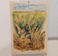Ukrainian Folk Poster 1986 - Soviet USSR Sowing Oat - Interior Design Wall Art