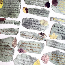 Forest Phrase Stickers Green Scrapbooking Junk Journal Collage