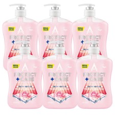6 x ASTONISH PROTECT+ CARE  ANTIBACTERIAL HANDWASH PEONY BLOOM 600ML 2.78 per litre