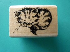 Sleeping Kitten STAMPENDOUS Rubber Stamp