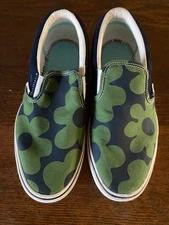 Vans be kind to the earth shoes