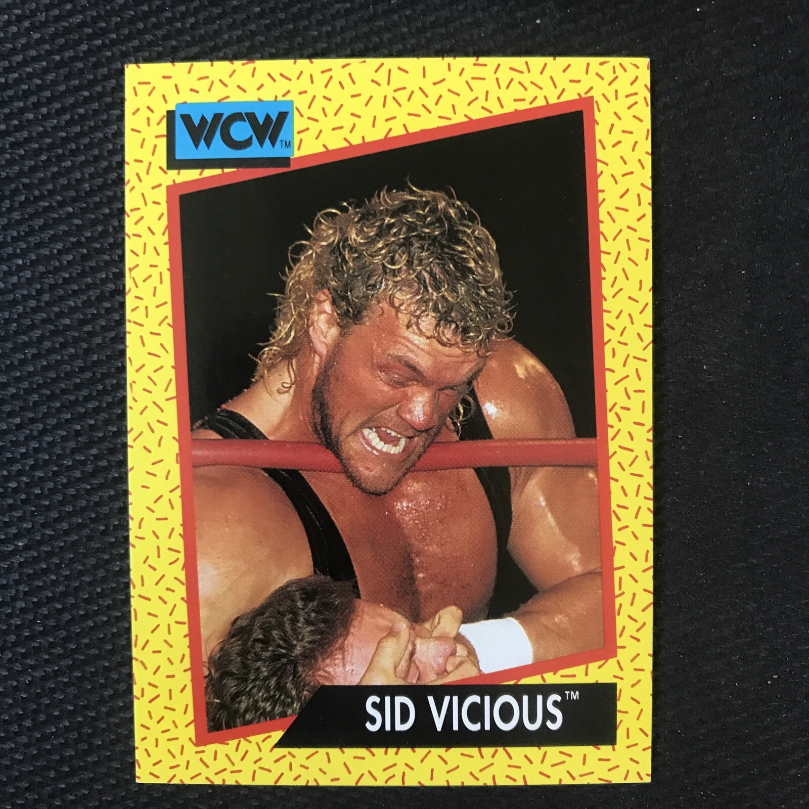 1991 Impel WCW - #29 Sid Vicious