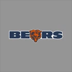 Chicago Bears #5 Vinyl Sticker Decal Car Window Wall