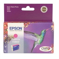 Epson Ink Cartridge Magenta Durabrit # C13T08034011