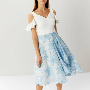 coast amelia dress