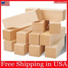 12 Pack Unfinished Basswood Carving Blocks Kit, Rectangular Wooden Blocks for DI