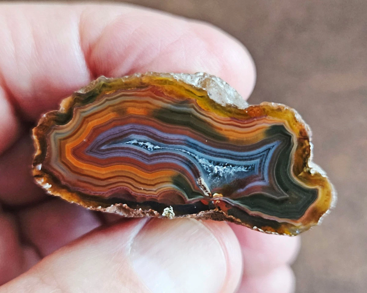 Condor Agate for sale | eBay