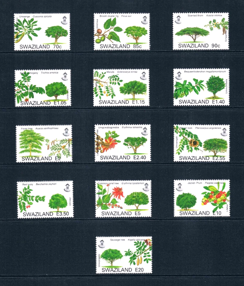 $20.50 Scott Value - 2007 SWAZILAND Trees definitives Africa CV MNH NH UM - Image 3 of 4