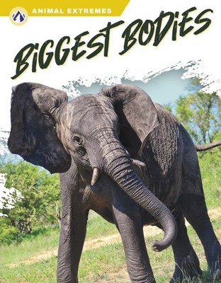 Biggest Bodies, Paperback by Kirkman, Marissa, Brand New, Free shipping in th...