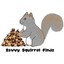 Savvy Squirrel Finds 2