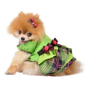 max's closet dog diapers