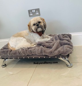 british made dog beds