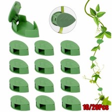 10/20PCS Plant Clips Self-Adhesive Hook Wall Climbing Clips For Climbing Plants