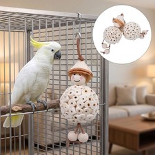 6 pcs Bird Toys for Parakeets | Wood Foraging Toy Hanging Set | Safe Chewing