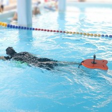 Schwimm-Board mit Handyhalter schwimmfähig A...