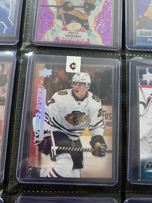 23 Ud Extended Lukas Reichel  07/08 Tribute Young Guns Exclusive Rc Rookie /100