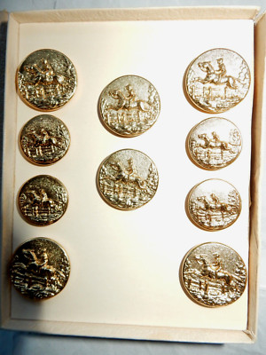 VTG Replacement Gold Tone Buttons Horse Riding/ Jumping 10pc ''The Spector Sport