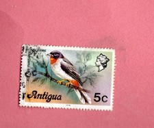 ANTUGIA USED1976 FUFOUS THROATED SOLITITARE BIRD STAMP