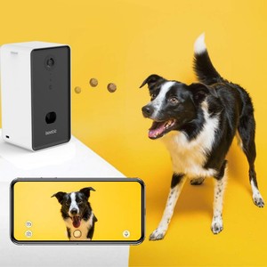 remote dog treat
