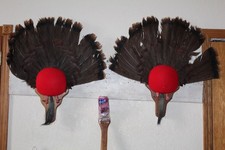 2 Turkey Tail Fans Mounts Lot Taxidermy Whitetail Deer Log Cabin Decor Gobbler
