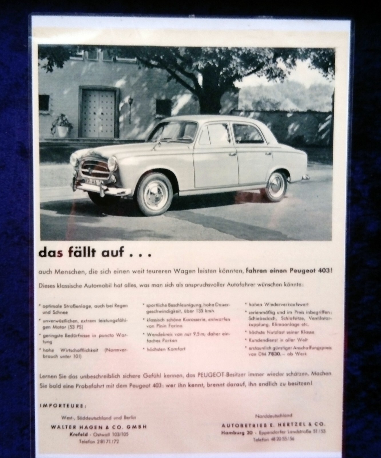 Bild 14 von 14