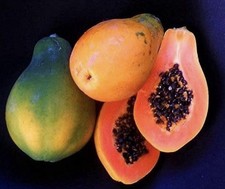 Papaya seeds Hawaiian Strawberry 25 fresh seeds Non GMO No pesticides.