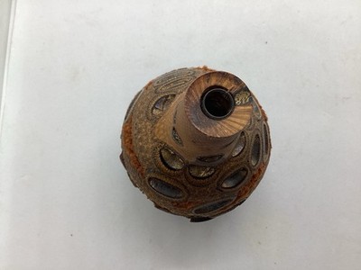 Banksia Seed Pod Handcrafted In To A Bud Vase.  From Australia 